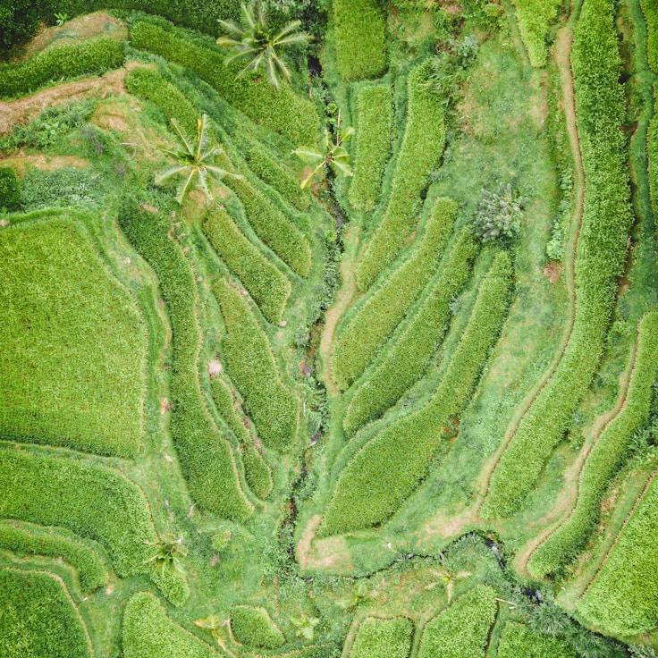 Outdoor terrace seating suitable for families in Milano